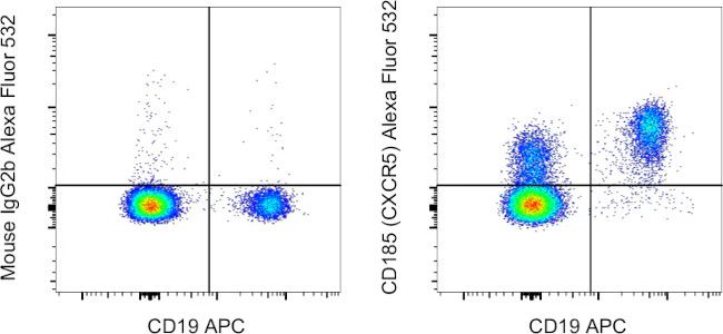 CD185 (CXCR5) Monoclonal Antibody (MU5UBEE), Alexa Fluor 532, eBioscience