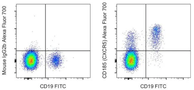 CD185 (CXCR5) Monoclonal Antibody (MU5UBEE), Alexa Fluor 700, eBioscience