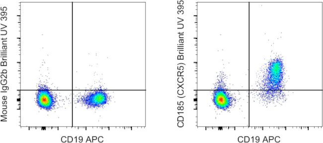 CD185 (CXCR5) Monoclonal Antibody (MU5UBEE), Brilliant Ultra Violet 395, eBioscience