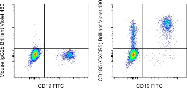 CD185 (CXCR5) Monoclonal Antibody (MU5UBEE), Brilliant Violet 480, eBioscience