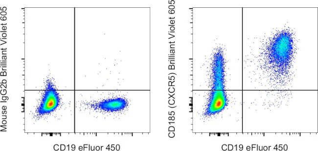 CD185 (CXCR5) Monoclonal Antibody (MU5UBEE), Brilliant Violet 605, eBioscience