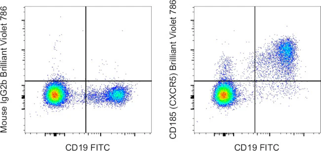 CD185 (CXCR5) Monoclonal Antibody (MU5UBEE), Brilliant Violet 786, eBioscience
