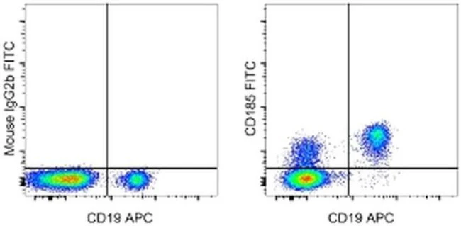 CD185 (CXCR5) Monoclonal Antibody (MU5UBEE), FITC, eBioscience