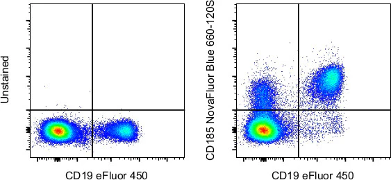 CD185 (CXCR5) Monoclonal Antibody (MU5UBEE), NovaFluor™ Blue 660-120S
