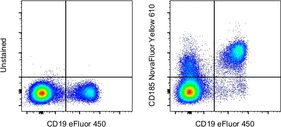CD185 (CXCR5) Monoclonal Antibody (MU5UBEE), NovaFluor™ Yellow 610