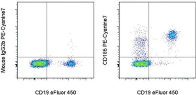 CD185 (CXCR5) Monoclonal Antibody (MU5UBEE), PE-Cyanine7, eBioscience