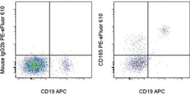 CD185 (CXCR5) Monoclonal Antibody (MU5UBEE), PE-eFluor 610, eBioscience