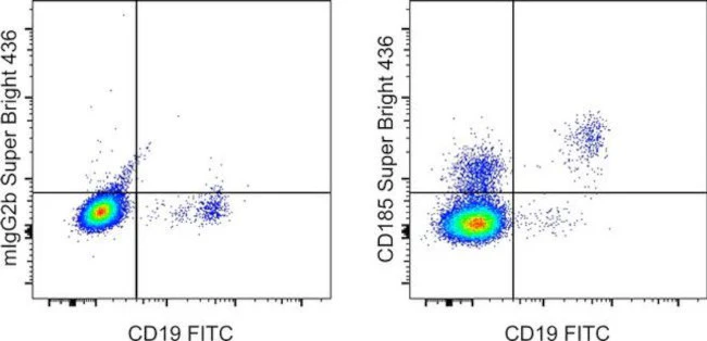 CD185 (CXCR5) Monoclonal Antibody (MU5UBEE), Super Bright 436, eBioscience