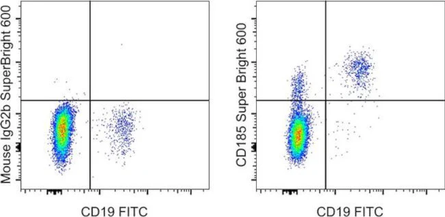 CD185 (CXCR5) Monoclonal Antibody (MU5UBEE), Super Bright 600, eBioscience