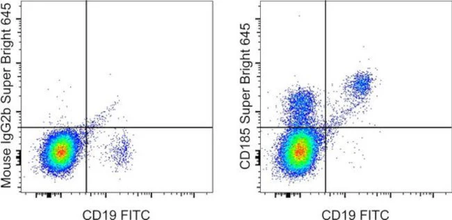 CD185 (CXCR5) Monoclonal Antibody (MU5UBEE), Super Bright 645, eBioscience