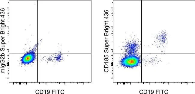 CD185 (CXCR5) Monoclonal Antibody (MU5UBEE), Super Bright™ 436, eBioscience™
