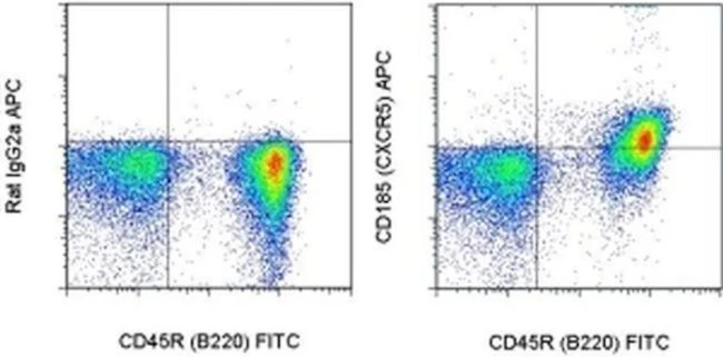 CD185 (CXCR5) Monoclonal Antibody (SPRCL5), APC, eBioscience