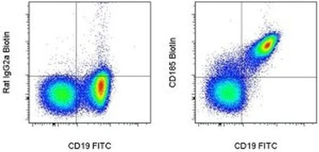 CD185 (CXCR5) Monoclonal Antibody (SPRCL5), Biotin, eBioscience