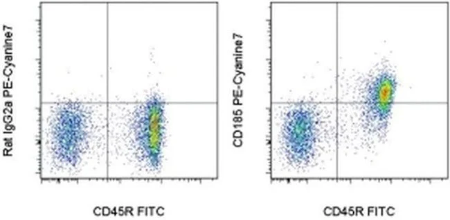 CD185 (CXCR5) Monoclonal Antibody (SPRCL5), PE-Cyanine7, eBioscience