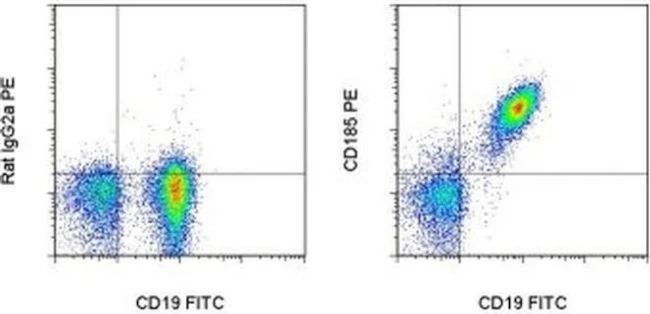 CD185 (CXCR5) Monoclonal Antibody (SPRCL5), PE, eBioscience