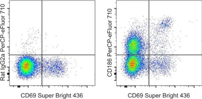 CD186 (CXCR6) Monoclonal Antibody (DANID2), PerCP-eFluor 710, eBioscience