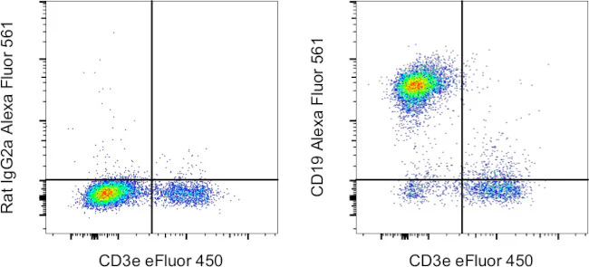 CD19 Monoclonal Antibody (eBio1D3 (1D3)), Alexa Fluor 561, eBioscience