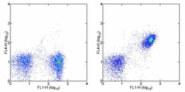 CD19 Monoclonal Antibody (eBio1D3 (1D3)), Alexa Fluor 700, eBioscience