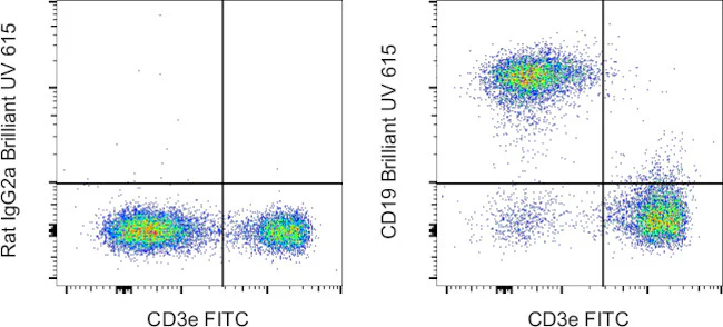 CD19 Monoclonal Antibody (eBio1D3 (1D3)), Brilliant Ultra Violet 615, eBioscience