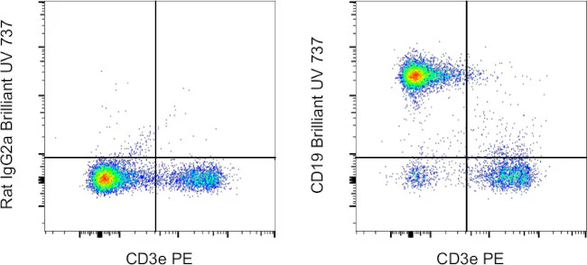 CD19 Monoclonal Antibody (eBio1D3 (1D3)), Brilliant Ultra Violet 737, eBioscience