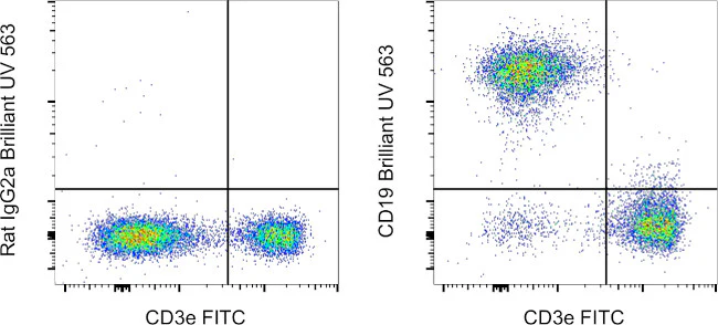 CD19 Monoclonal Antibody (eBio1D3 (1D3)), Brilliant Ultra Violet™ 563, eBioscience™