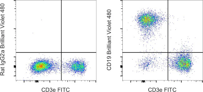 CD19 Monoclonal Antibody (eBio1D3 (1D3)), Brilliant Violet 480, eBioscience