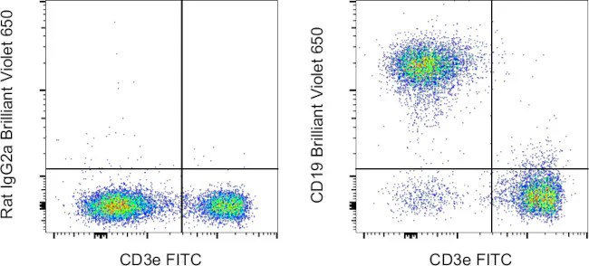 CD19 Monoclonal Antibody (eBio1D3 (1D3)), Brilliant Violet 650, eBioscience