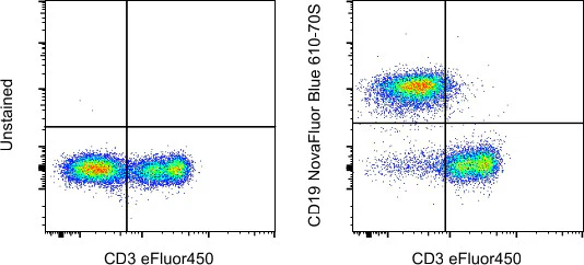 CD19 Monoclonal Antibody (eBio1D3 (1D3)), NovaFluor Blue 610-70S, eBioscience