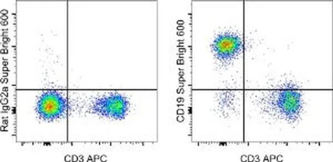 CD19 Monoclonal Antibody (eBio1D3 (1D3)), Super Bright 600, eBioscience