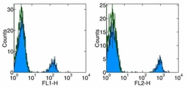 CD19 Monoclonal Antibody (HIB19), Biotin, eBioscience