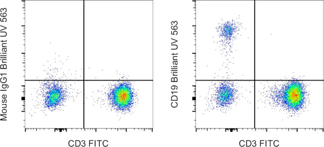CD19 Monoclonal Antibody (HIB19), Brilliant Ultra Violet 563, eBioscience