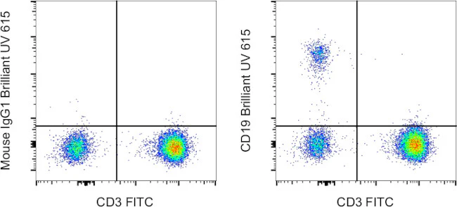 CD19 Monoclonal Antibody (HIB19), Brilliant Ultra Violet 615, eBioscience