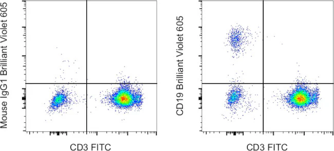 CD19 Monoclonal Antibody (HIB19), Brilliant Violet™ 605