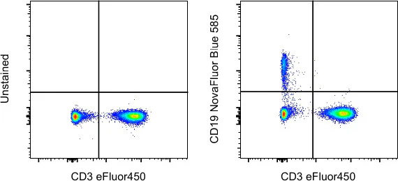 CD19 Monoclonal Antibody (HIB19), NovaFluor Blue 585, eBioscience