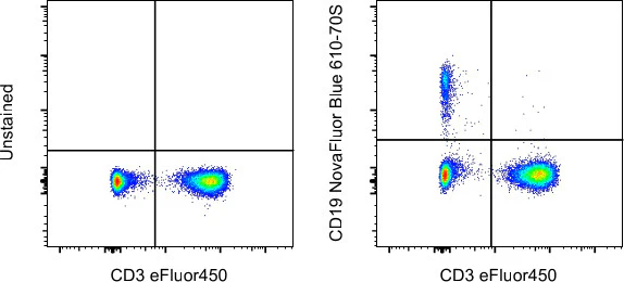 CD19 Monoclonal Antibody (HIB19), NovaFluor Blue 610-70S, eBioscience