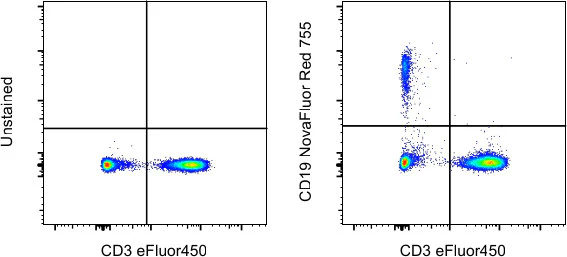 CD19 Monoclonal Antibody (HIB19), NovaFluor Red 755, eBioscience