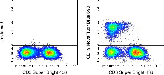 CD19 Monoclonal Antibody (HIB19), NovaFluor™ Blue 690