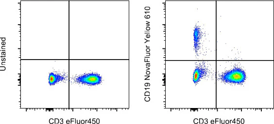 CD19 Monoclonal Antibody (HIB19), NovaFluor Yellow 610, eBioscience