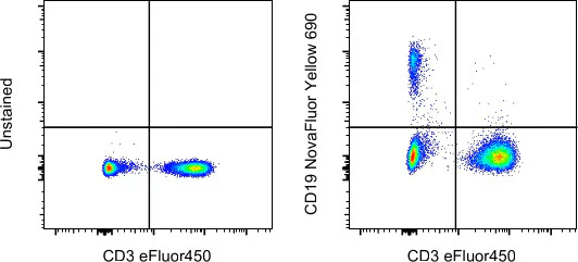 CD19 Monoclonal Antibody (HIB19), NovaFluor Yellow 690, eBioscience