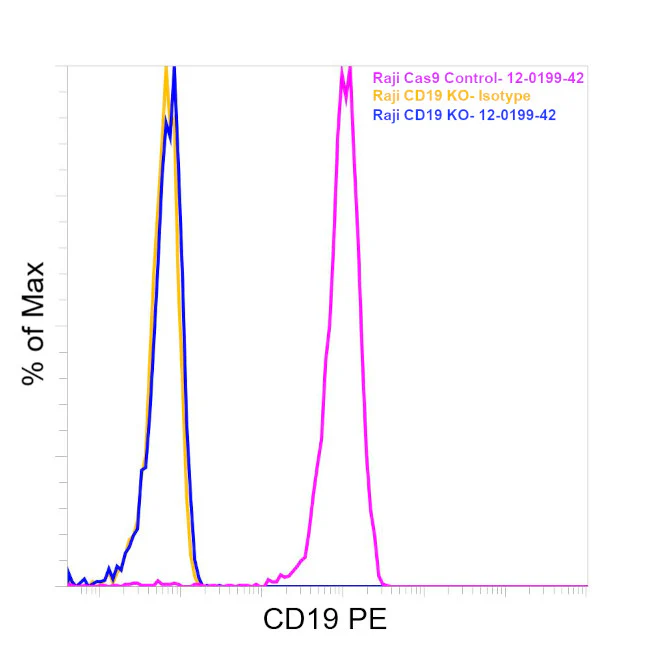 CD19 Monoclonal Antibody (HIB19), PE, eBioscience