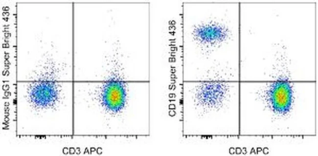 CD19 Monoclonal Antibody (HIB19), Super Bright 436, eBioscience