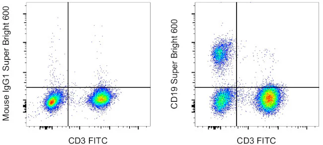 CD19 Monoclonal Antibody (HIB19), Super Bright 600, eBioscience