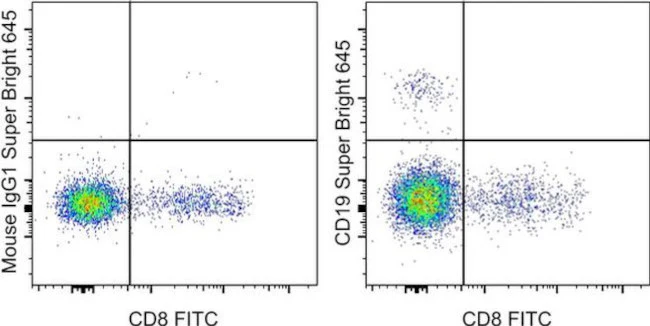 CD19 Monoclonal Antibody (HIB19), Super Bright 645, eBioscience