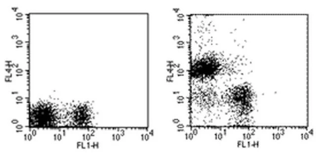 CD19 Monoclonal Antibody (MB19-1), APC, eBioscience