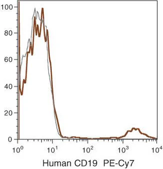 CD19 Monoclonal Antibody (SJ25-C1), PE-Cyanine7