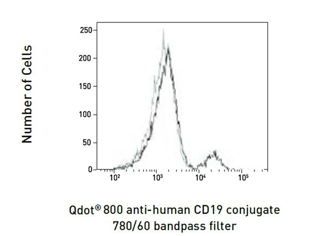 CD19 Monoclonal Antibody (SJ25-C1), Qdot 800