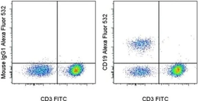 CD19 Monoclonal Antibody (SJ25C1), Alexa Fluor 532, eBioscience