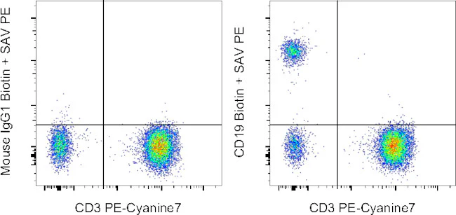 CD19 Monoclonal Antibody (SJ25C1), Biotin, eBioscience