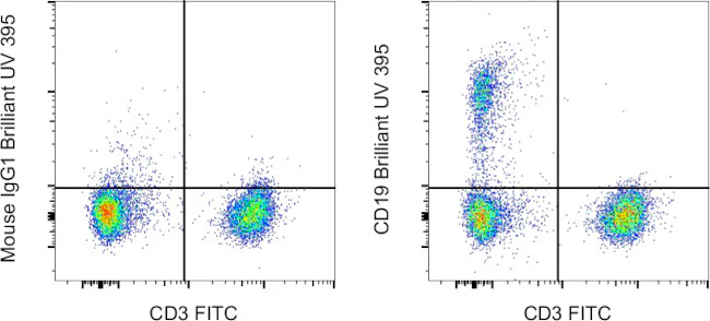 CD19 Monoclonal Antibody (SJ25C1), Brilliant Ultra Violet™ 395, eBioscience™