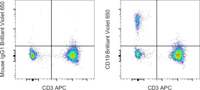 CD19 Monoclonal Antibody (SJ25C1), Brilliant Violet™ 650